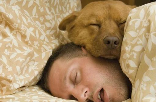 身体出现了这些求救信号造成不能忽略有些人为了钱,不知