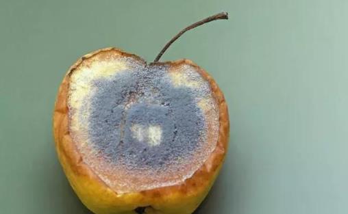 染发会不会危害健康?3种易致癌的行为应立即停止